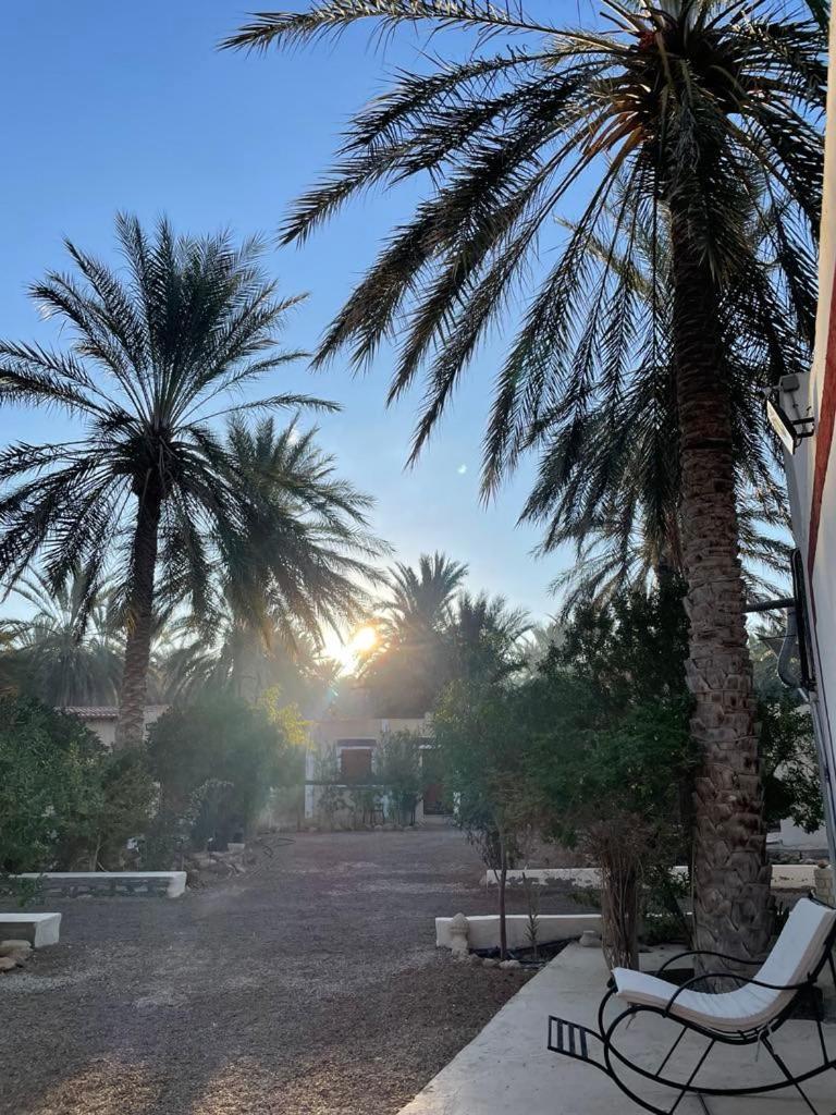 Dar Barka Kebili Exterior foto