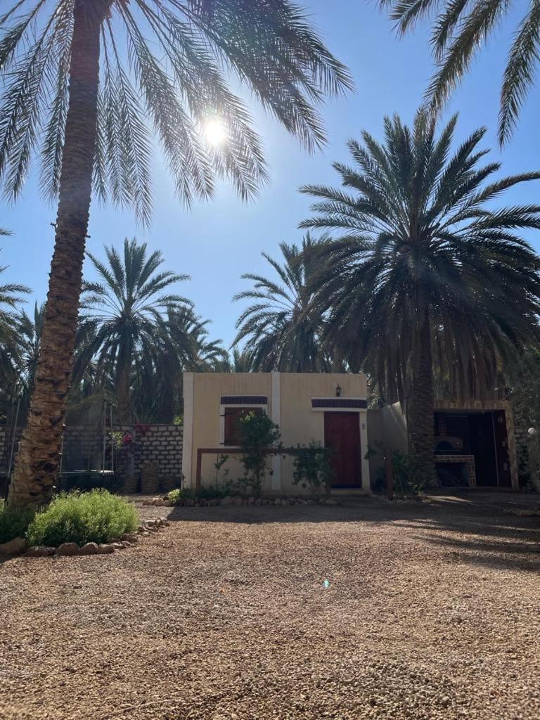 Dar Barka Kebili Exterior foto