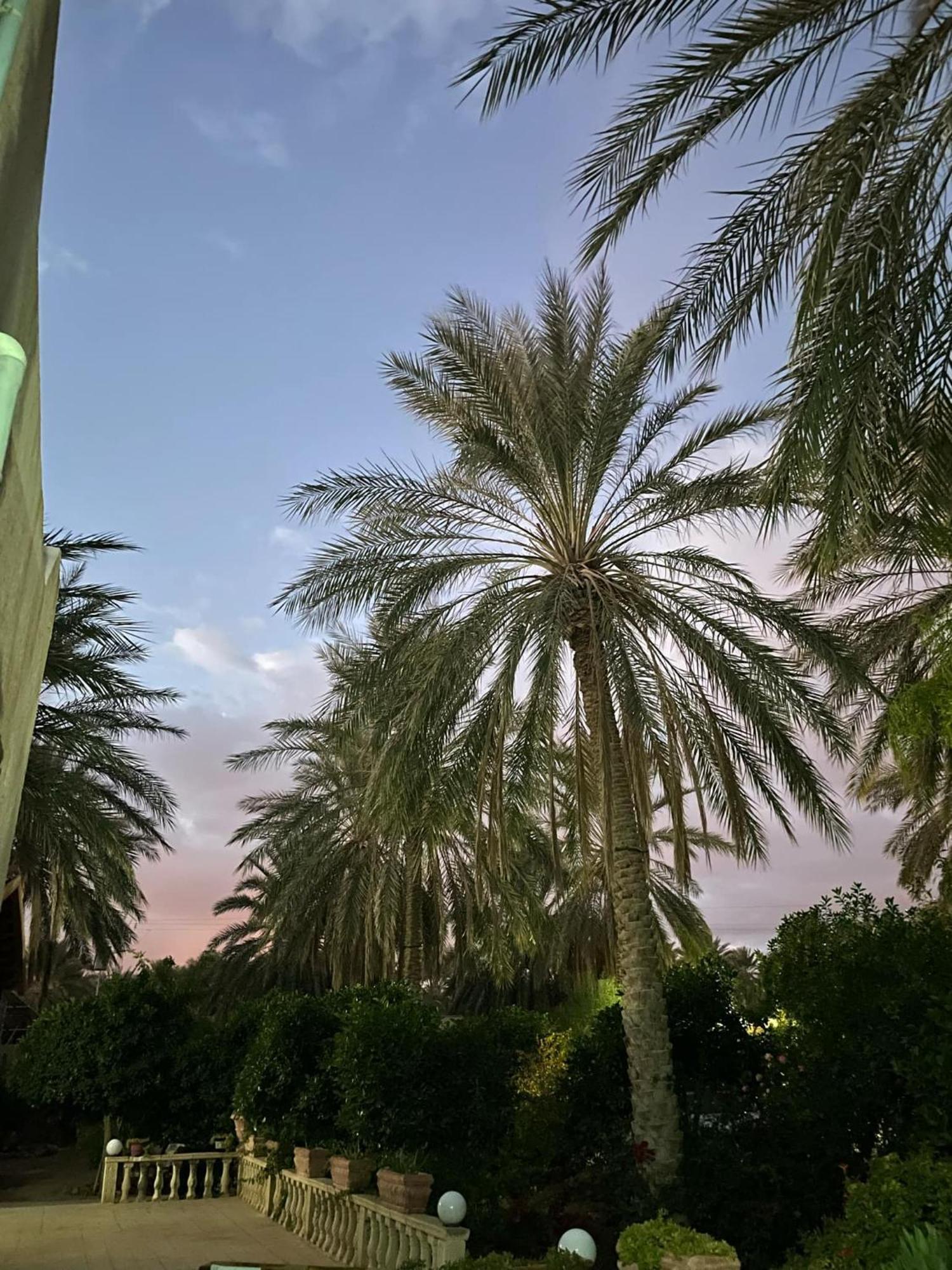 Dar Barka Kebili Exterior foto