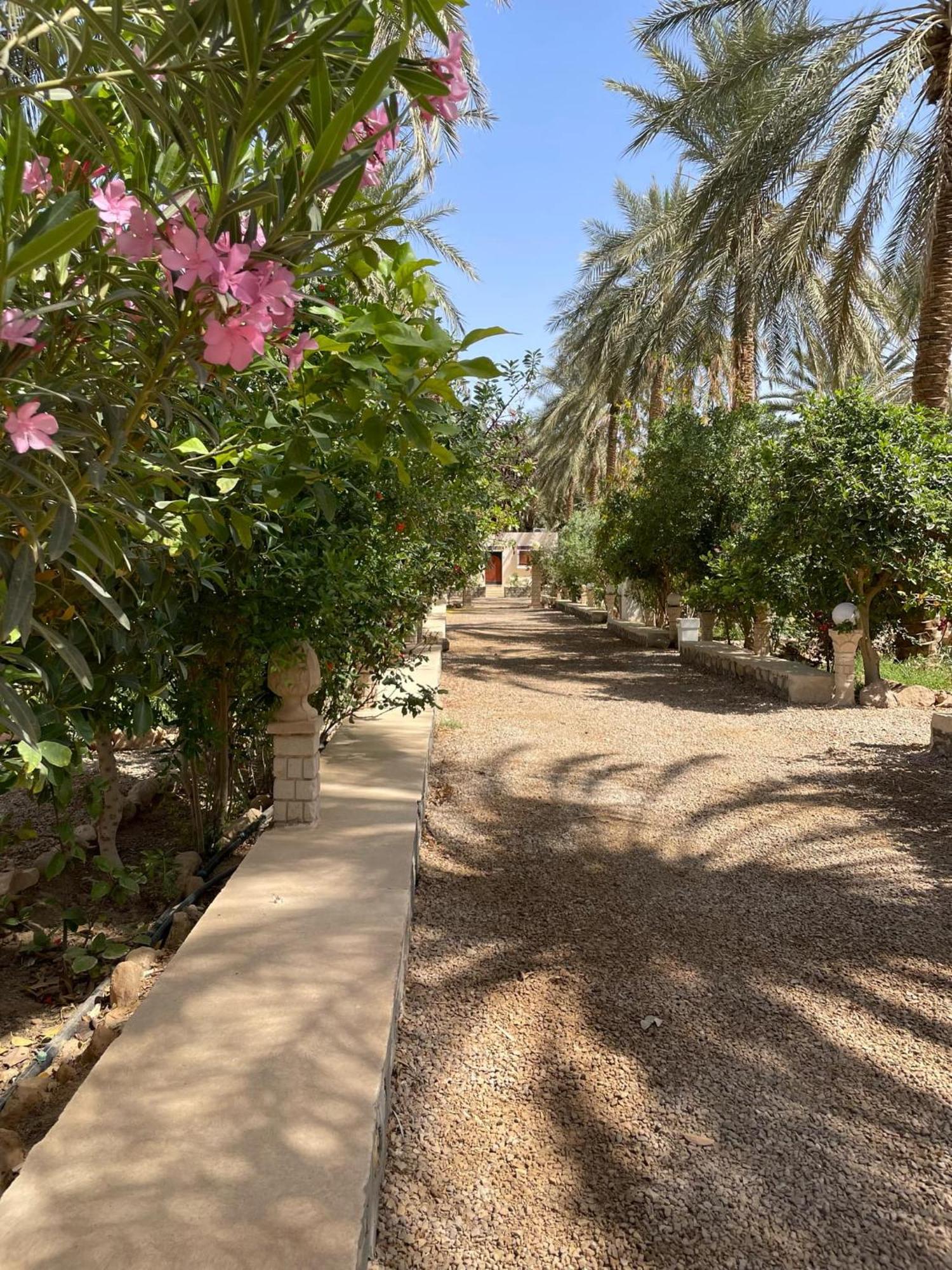 Dar Barka Kebili Exterior foto