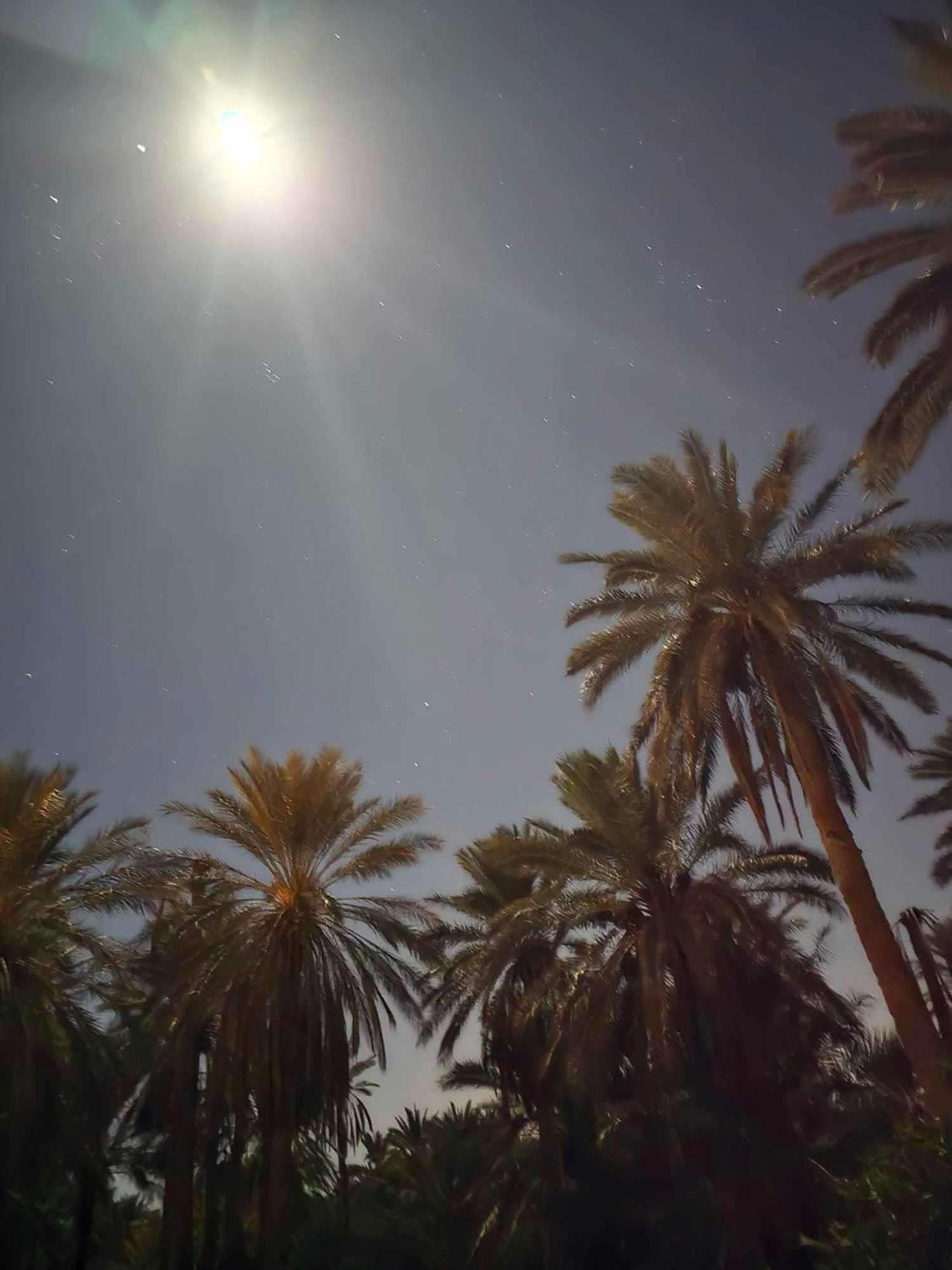 Dar Barka Kebili Exterior foto